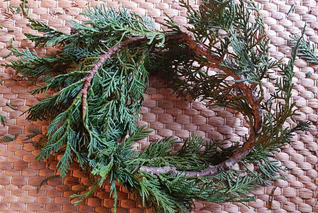 Adventskranz selber binden