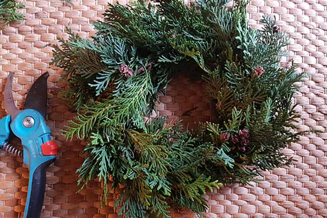Adventskranz selber binden