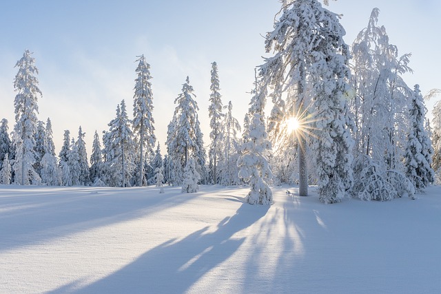 Warme Hände im Winter