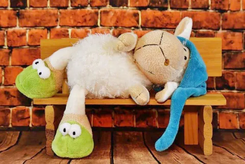 Puppen und Stofftiere selber nähen